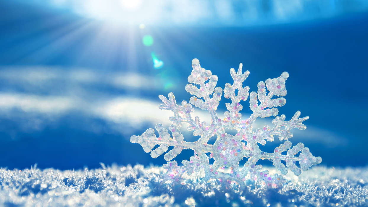 厳しい冬の中に特に美しい「雪」と、日々の努力を積み重ねことを意味する「瓦」で組み合わせ、厳しい環境でも努力し続け、最高のサービスをお客様に届けるように努めます。